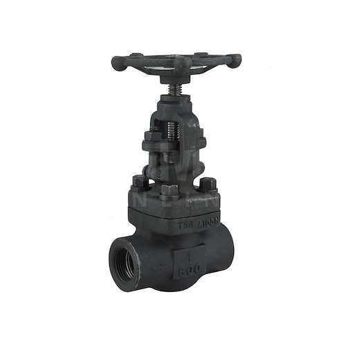 گلوب ولو فولادی فورج